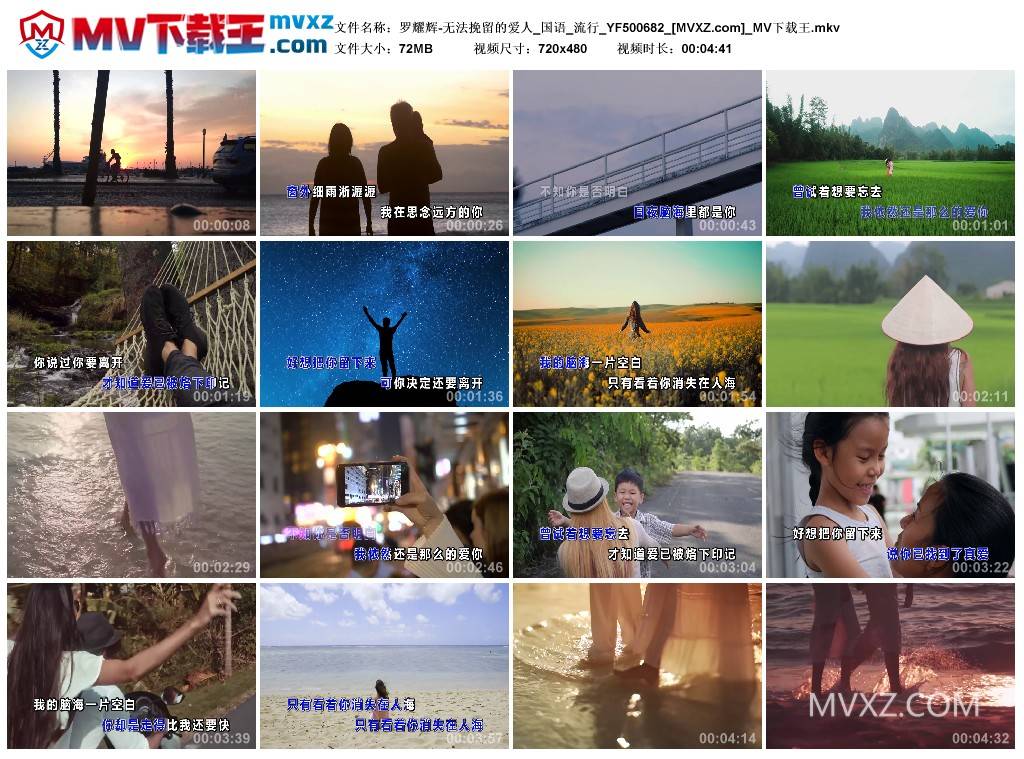 罗耀辉-无法挽留的爱人_国语_流行_YF500682